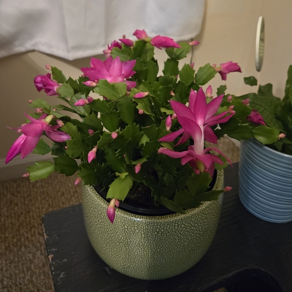 Welcome to my closet! - Picture 5 of 5